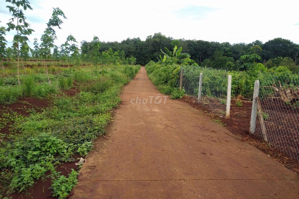 CHÍNH CHỦ CẦN BÁN ĐẤ BÌNH LONG, TP.ĐỒNG NAI (TX BÌNH LONG, BÌNH PHƯỚC)