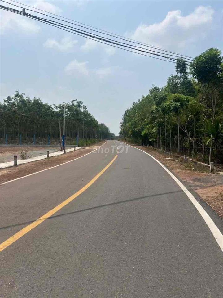 ĐẤT NỀN CHƠN THÀNH ĐỒNG NAI
