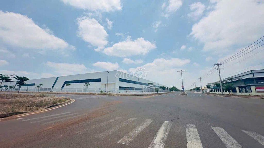 153m2 có 100m2 đất ở ngay trường học Tân Lợi Đồng Nai chỉ 190 triệu