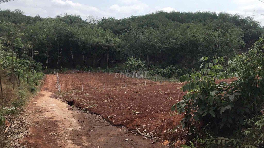 SỞ HỮU NGAY LÔ ĐẤT THỔ CƯ VEN SUỐI SIÊU THOÁNG MÁT