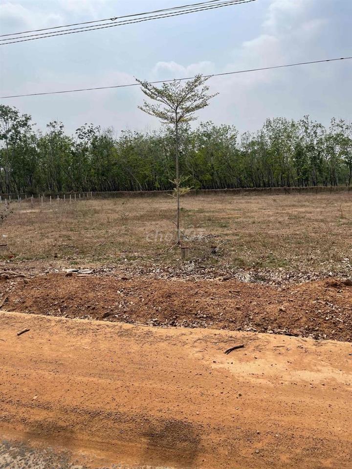 Ban lô đất lộc ninh