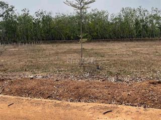 Ban lô đất lộc ninh