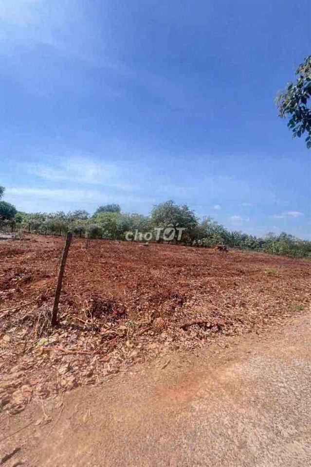 bán đất khu phố thanh hoà ,p an lộc ,tp đồng nai