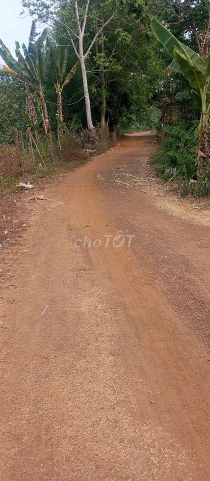 Chính chủ cần bán Đất