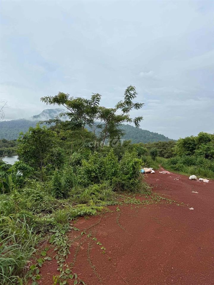Chính chủ cần bán