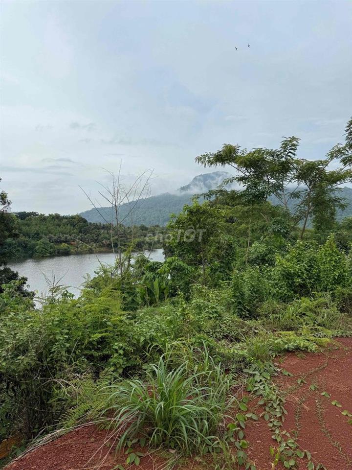 Chính chủ cần bán