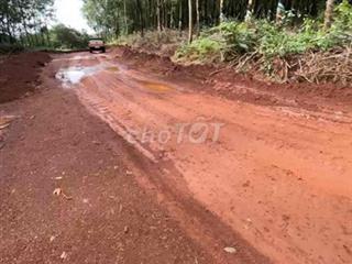Cần bán 5,6 hecta, 100m mặt tiền. thích hợp làm nhà máy, kho xưởng
