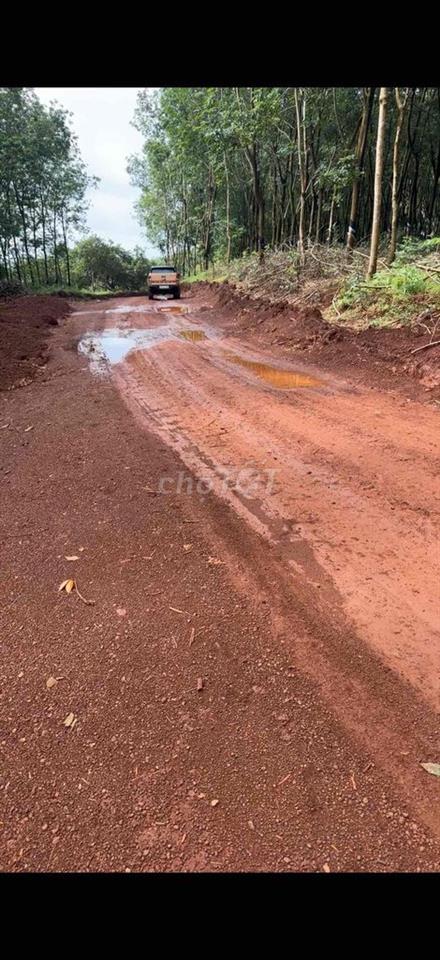 Cần bán 5,6 hecta, 100m mặt tiền. thích hợp làm nhà máy, kho xưởng