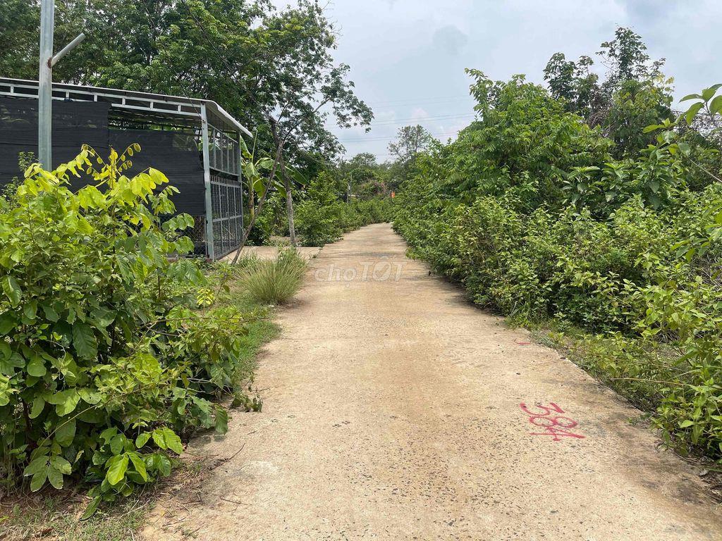 Chính chủ cần bán đất Bình Phước