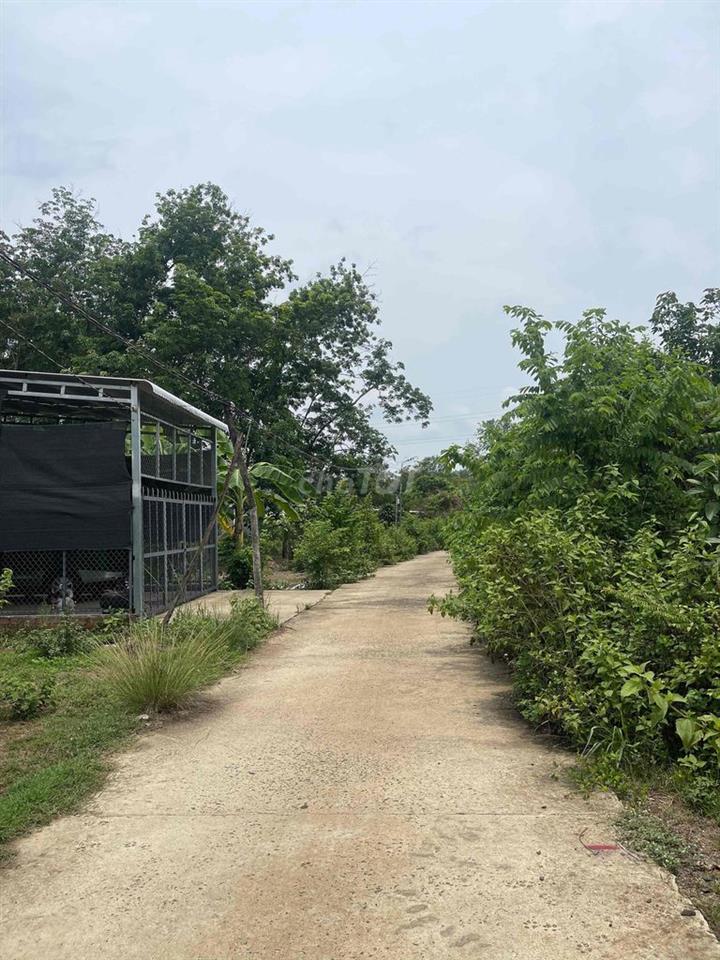 Chính chủ cần bán đất Bình Phước