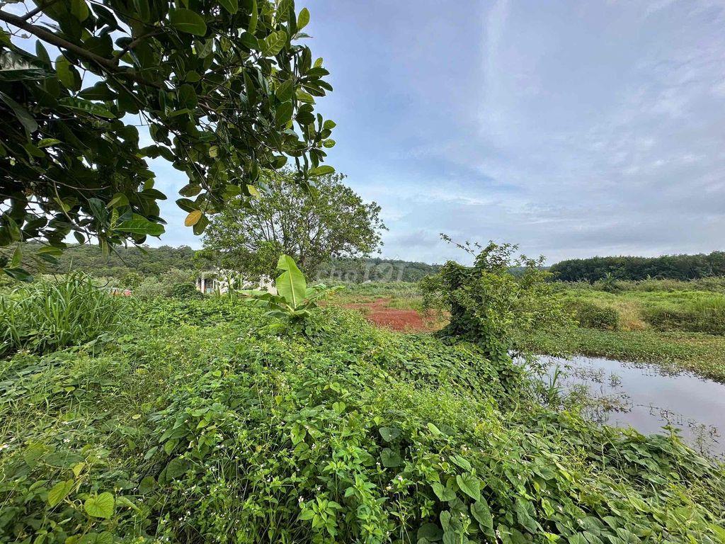 tôi cần bán đất 1.2 ha bphuoc