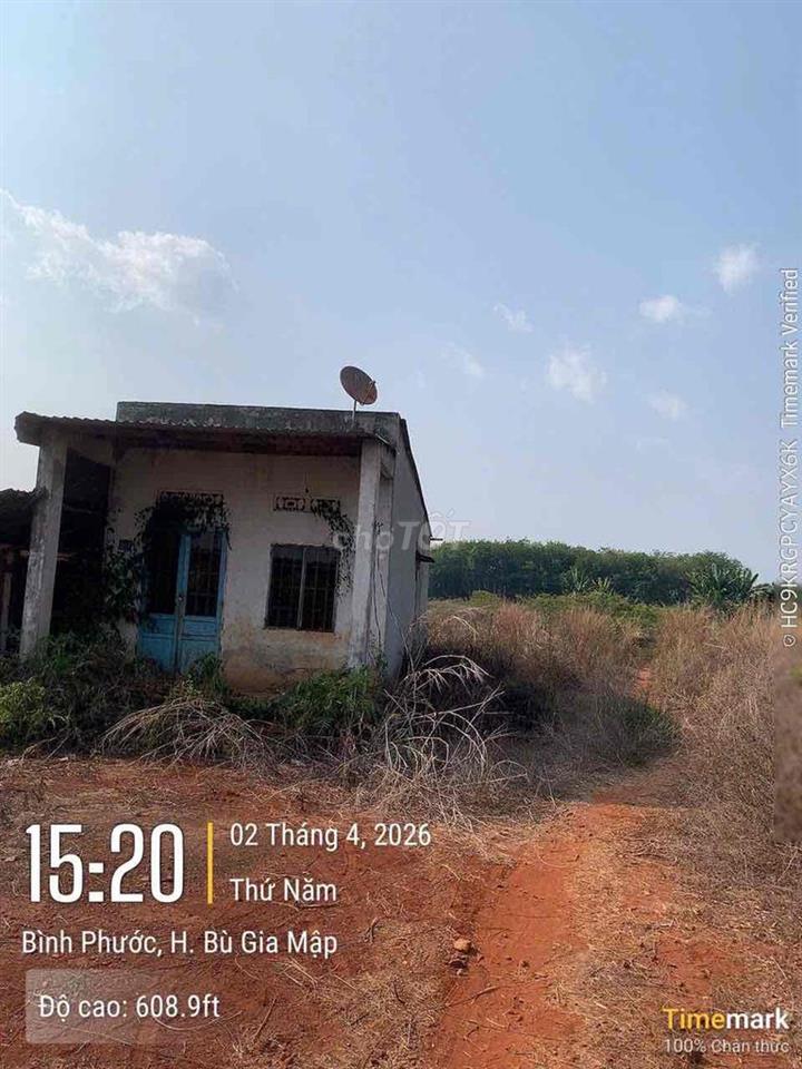 tôi cần bán đất 1.2 ha bphuoc
