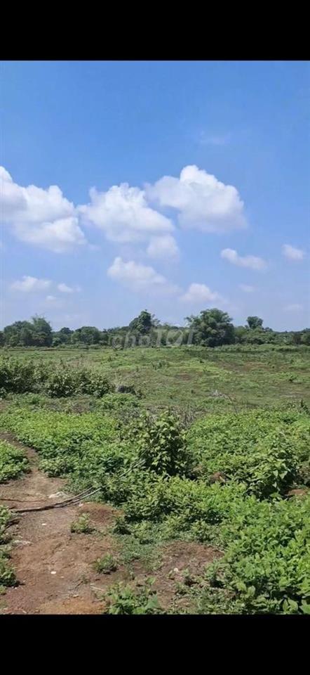 CHO THUÊ HOẶC HỢP TÁC ĐẦU TƯ.. 