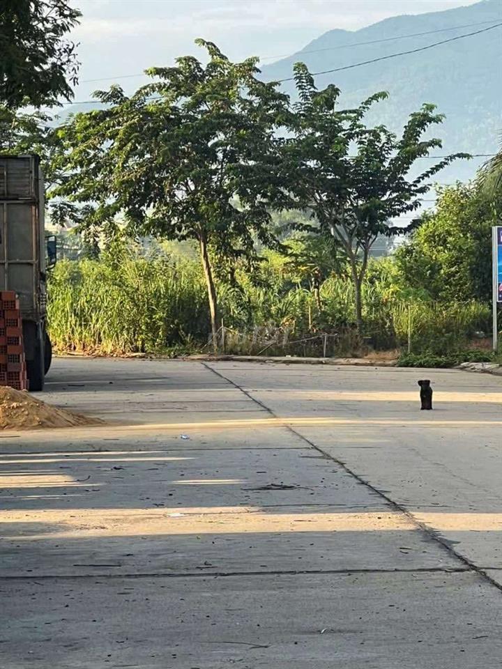 Bán đất