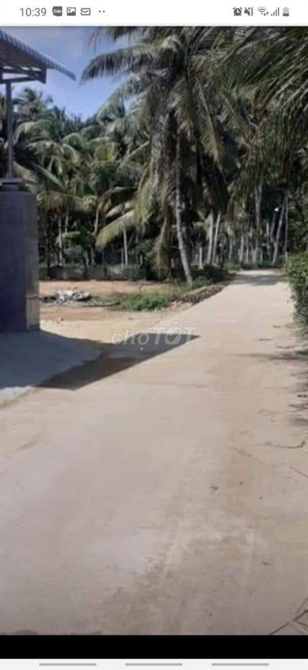 Đất ở gần chợ, bệnh viện Bồng Sơn