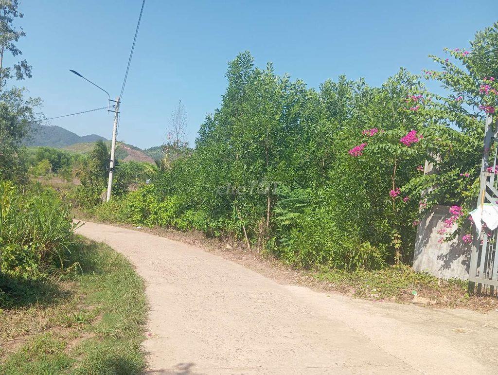 Bán đất mặt tiền xóm đá ong