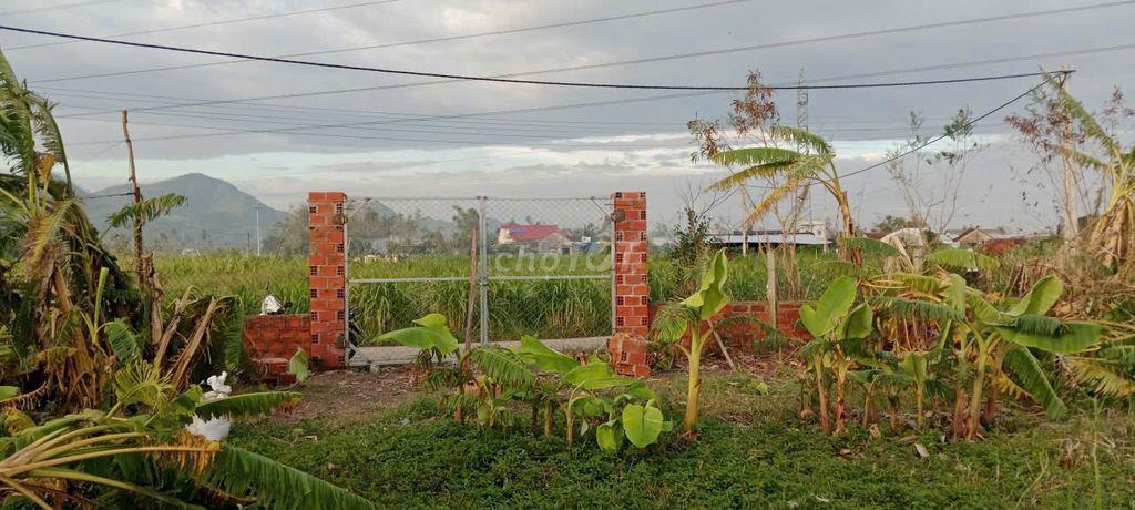 ĐẤT Diêu Trì Quy Nhơn mặt tiền 20m