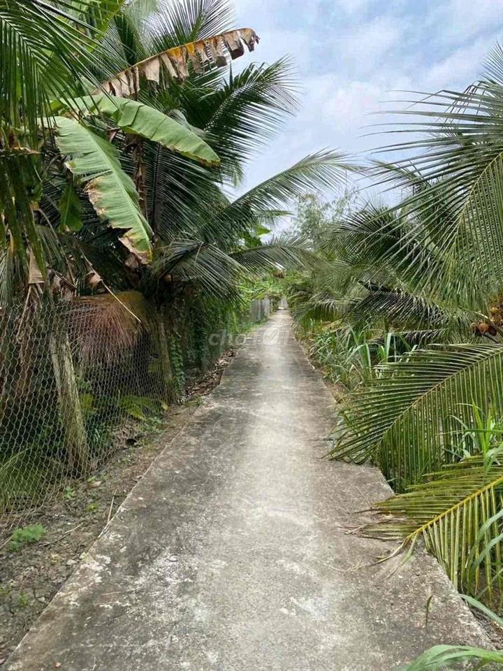 1780m2 đất Song Binh co đường đi giá bao.re.