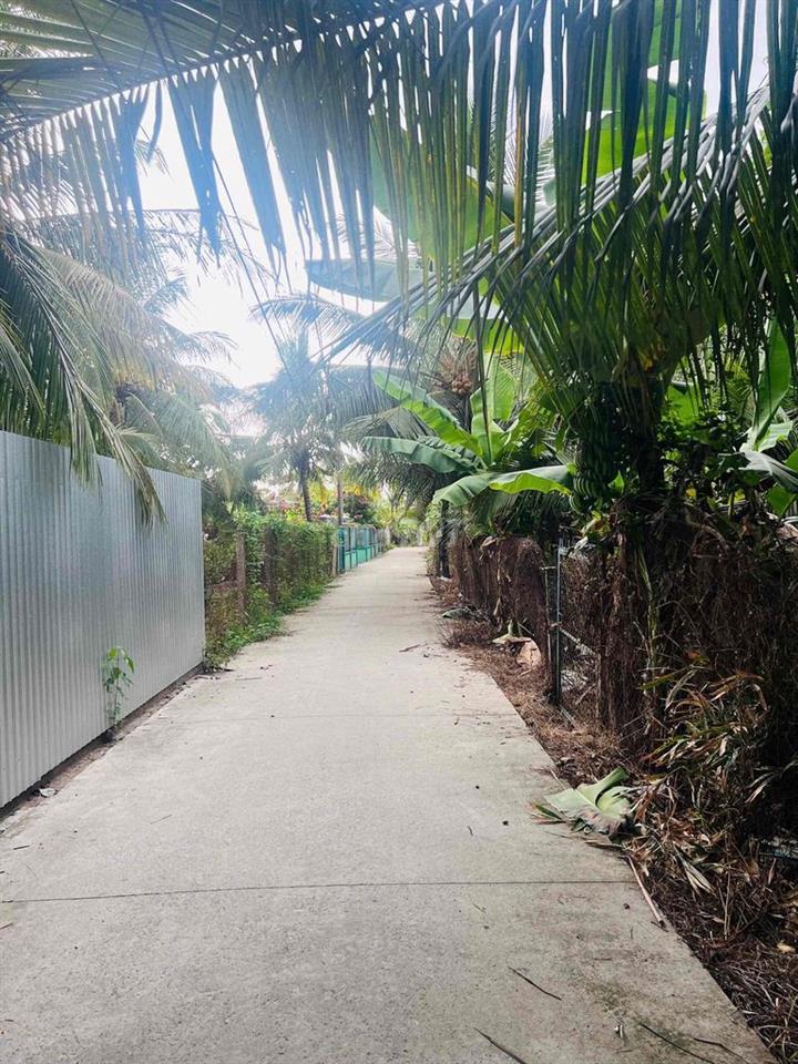 565m2 đất Long Hoà A đường xe 7c đi thông, ngay khu tdc Long Hoà