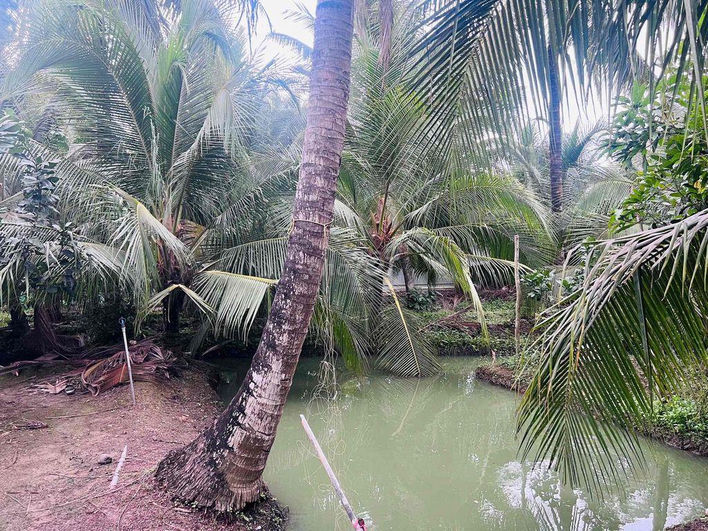 565m2 đất Long Hoà A đường xe 7c đi thông, ngay khu tdc Long Hoà