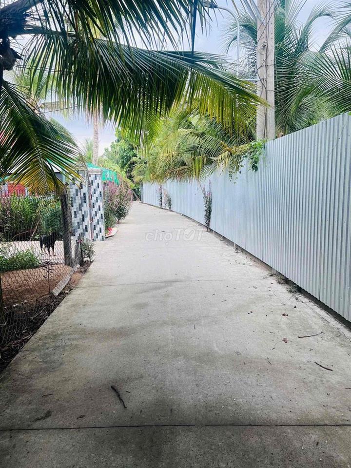 565m2 đất Long Hoà A đường xe 7c đi thông, ngay khu tdc Long Hoà