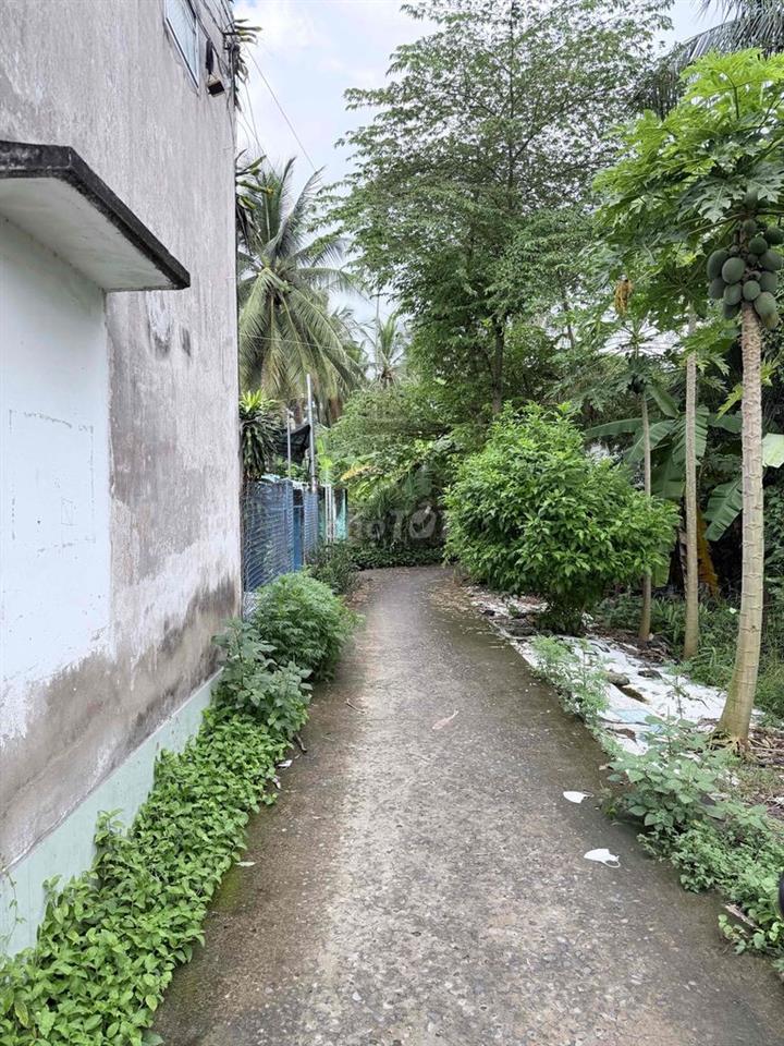 Bán gấp dãy trọ p9 ngay bờ kè mới kdc đông full phòng