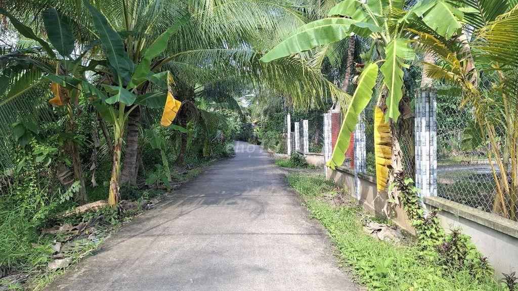 Bán đất và nhà giá rẻ 372m² ấp Ngươn Đông Hòa ,tỉnh Tiền Giang cũ 