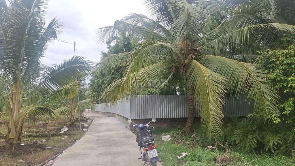 Bán 718m² đất vườn giá rẻ gần trường Học Long Hưng