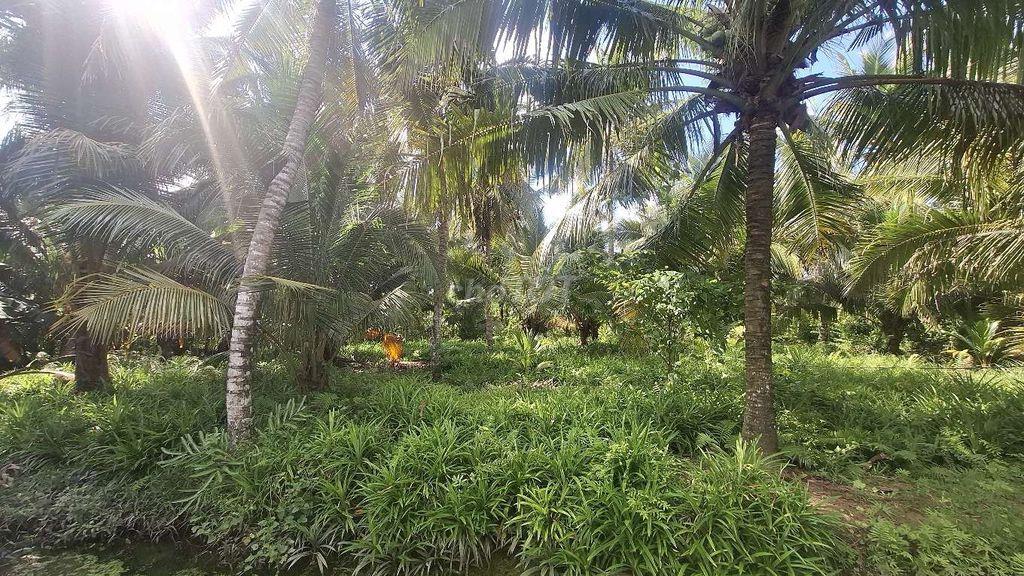 Bán 2900m² đất vườn giá rẻ gần đường tỉnh lộ 35 , gần cầu Long Hưng