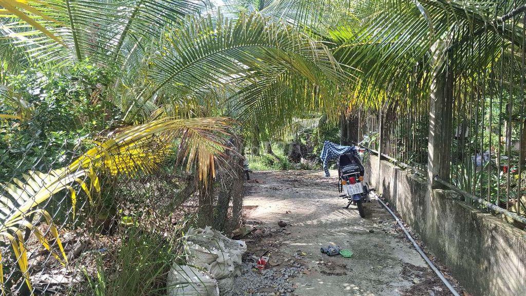 Bán 2900m² đất vườn giá rẻ gần đường tỉnh lộ 35 , gần cầu Long Hưng