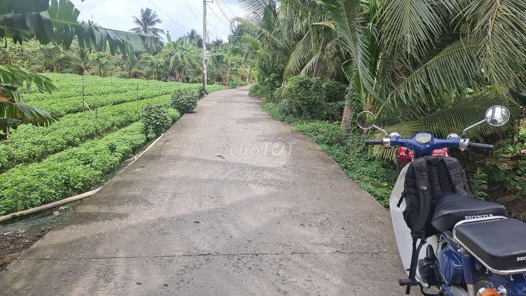 Bán 3900m² đất CLN giá rẻ gần bệnh viện đa khoa mới Tiền Giang