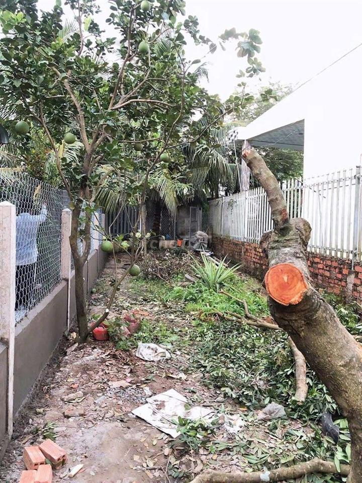 Chính Chủ Bán Gấp Đất Thổ Cư tp Mỹ Tho Cũ  100m² Chỉ 570 Triệu