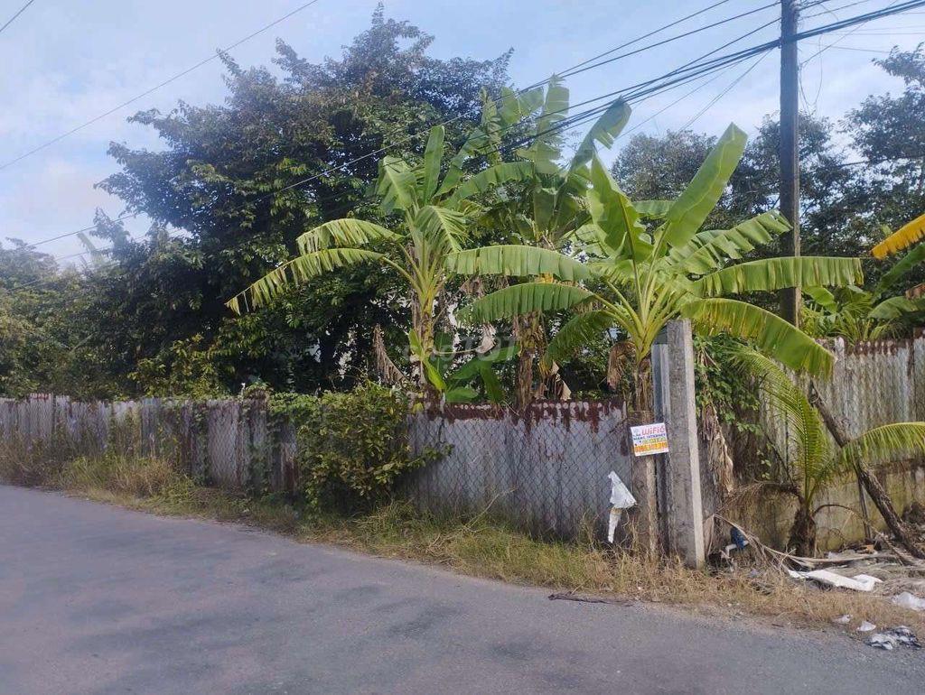 Bán đất 6x35 MT đường nhựa, gần BV Đa khoa Tiền Giang, dân cư đông đúc