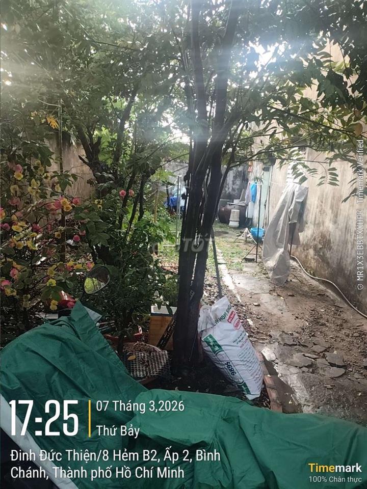 🔥 BÁN ĐẤT CLN 62m XÃ BÌNH CHÁNH – KDC HIỆN HỮU