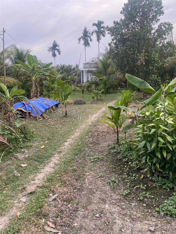 cần bán