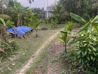 cần bán