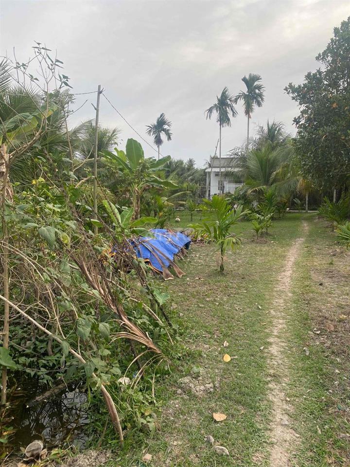 cần bán