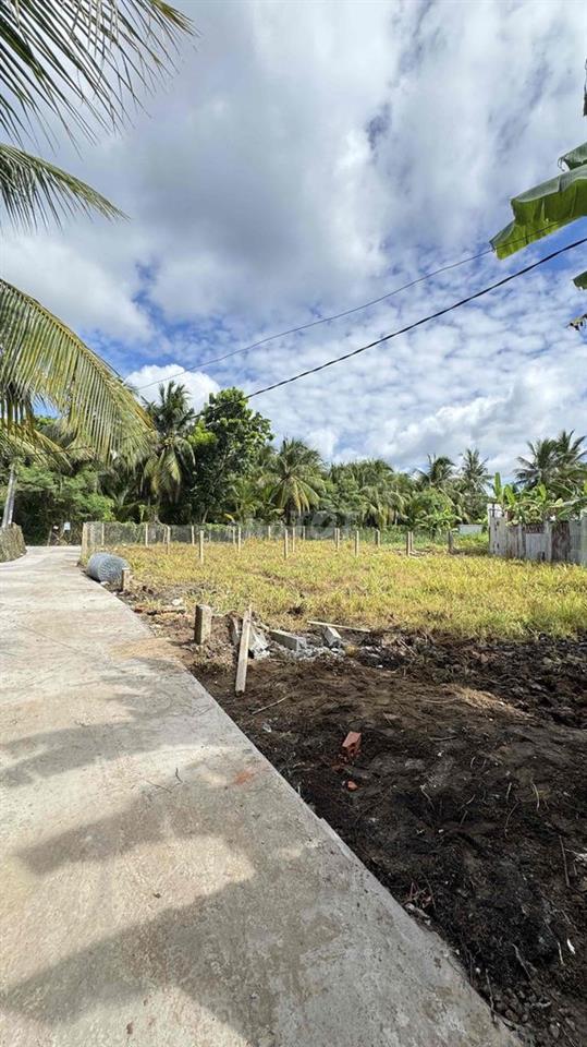 đất nền thổ cư giá rẻ