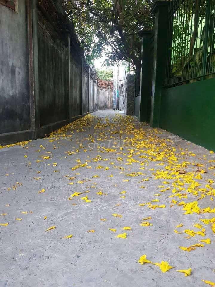 Bán nhà TT Thành phố Mỹ Tho