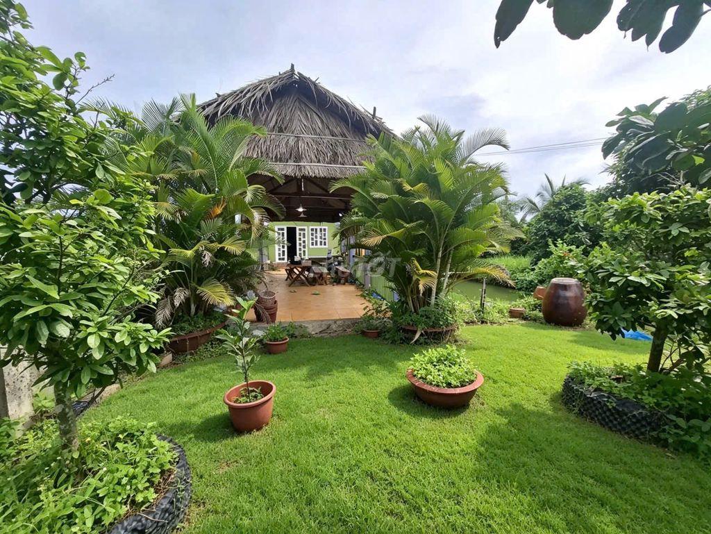 BÁN NHÀ VƯỜN CHÍNH CHỦ – CHỢ GẠO, TIỀN GIANG