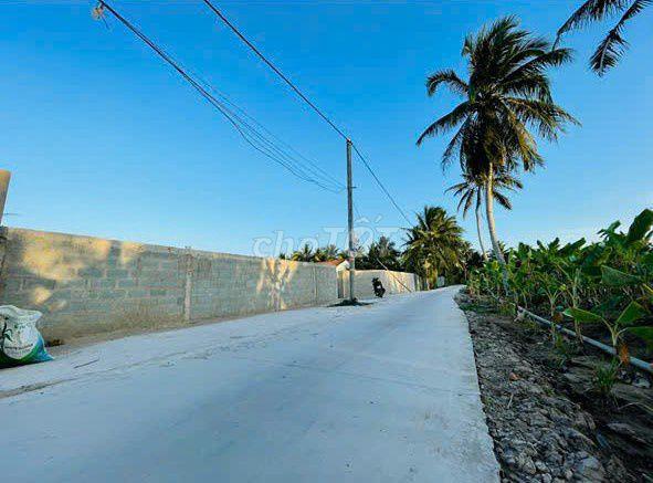 🔥 BÁN 2.168M² ĐẤT – 300M² THỔ CƯ ẤP BỜ XE, XÃ THẠNH PHÚ, CHÂU THÀNH🔥🔥🔥