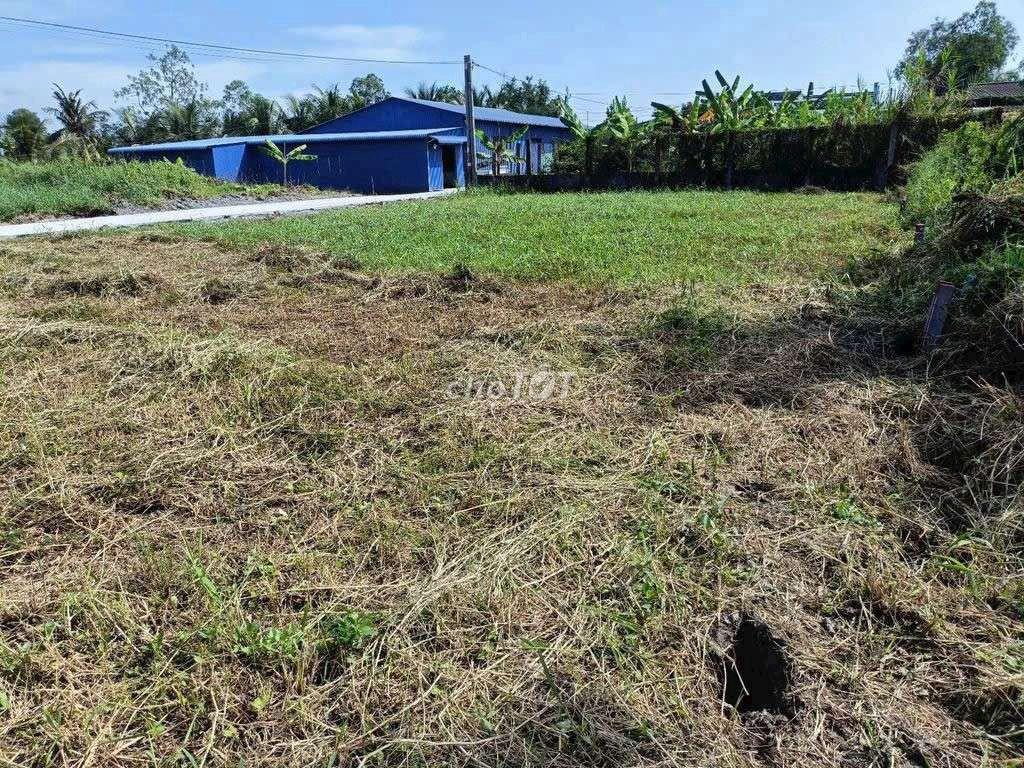 Đất nền Bình Đông, Tiền Giang