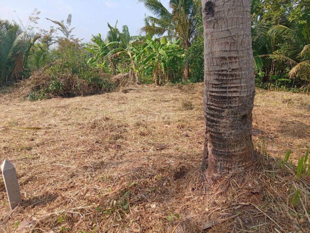 Đất thổ vườn