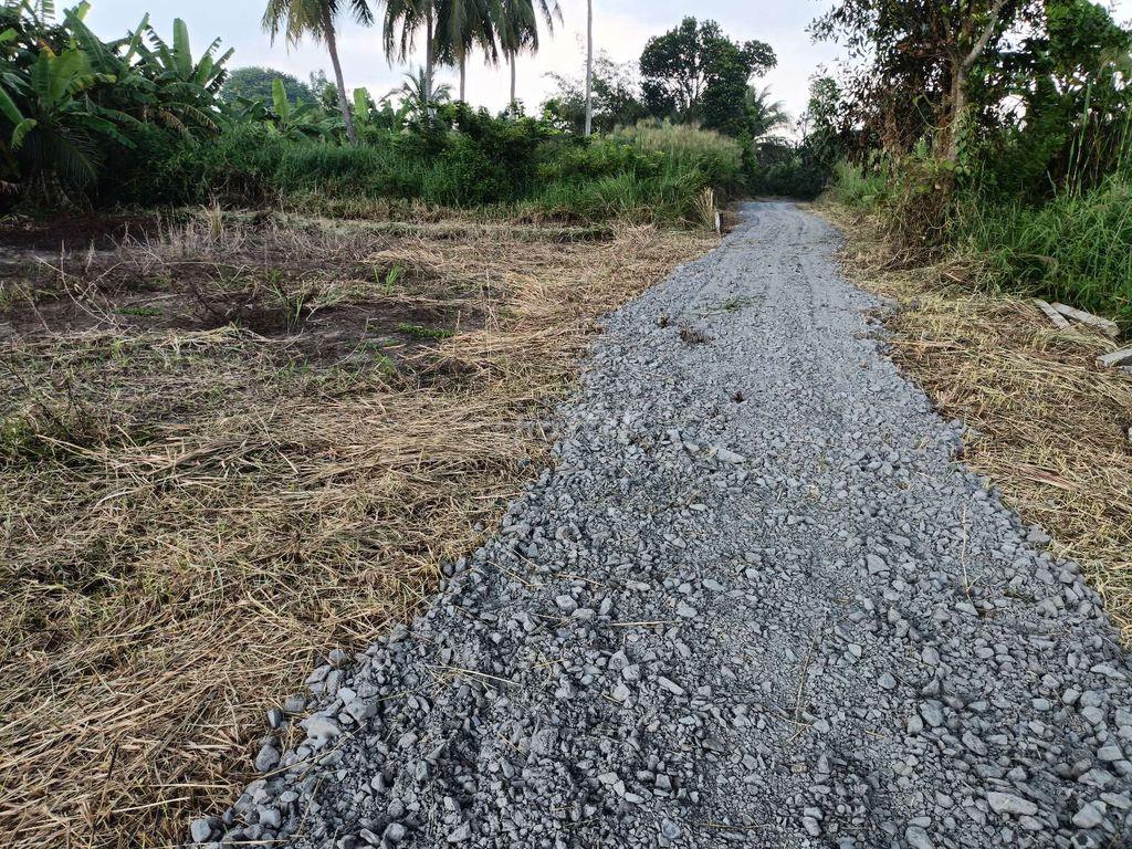 Đất thổ vườn