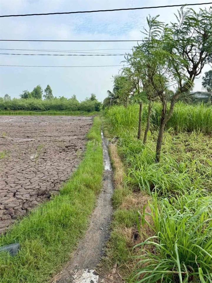 BÁN ĐẤT VƯỜN CÓ THỔ CƯ – CÓ SẴN VƯỜN TÁO