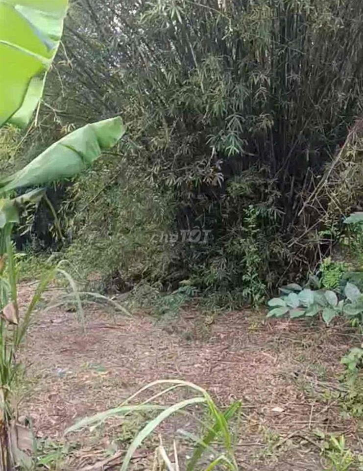 Di cư sang Mỹ, để lại miếng đất nằm trên trục đường Trần Công Tường