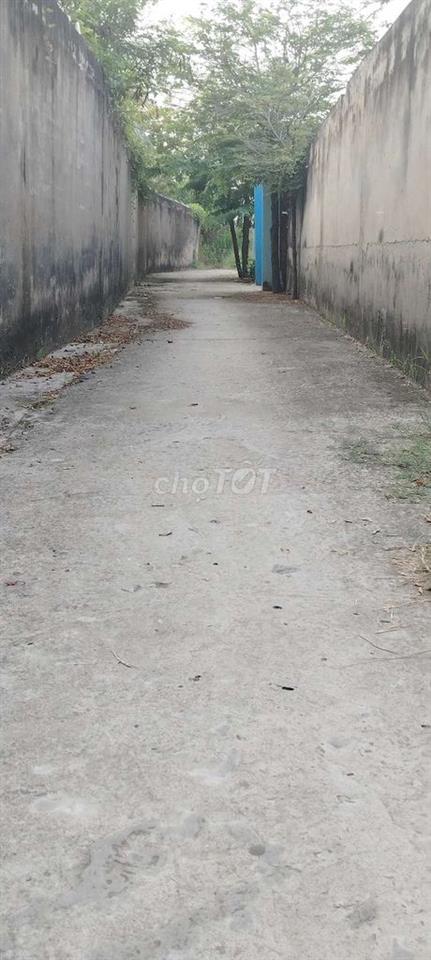chính chủ bán đất