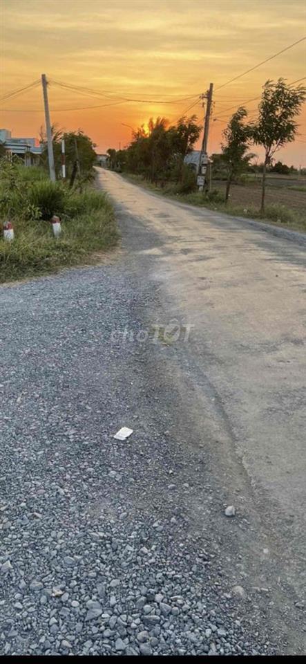 Mảnh đất 3000m2 ngay đường ô tô như hình trên