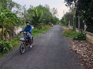 Bán vườn sầu riêng Ri6