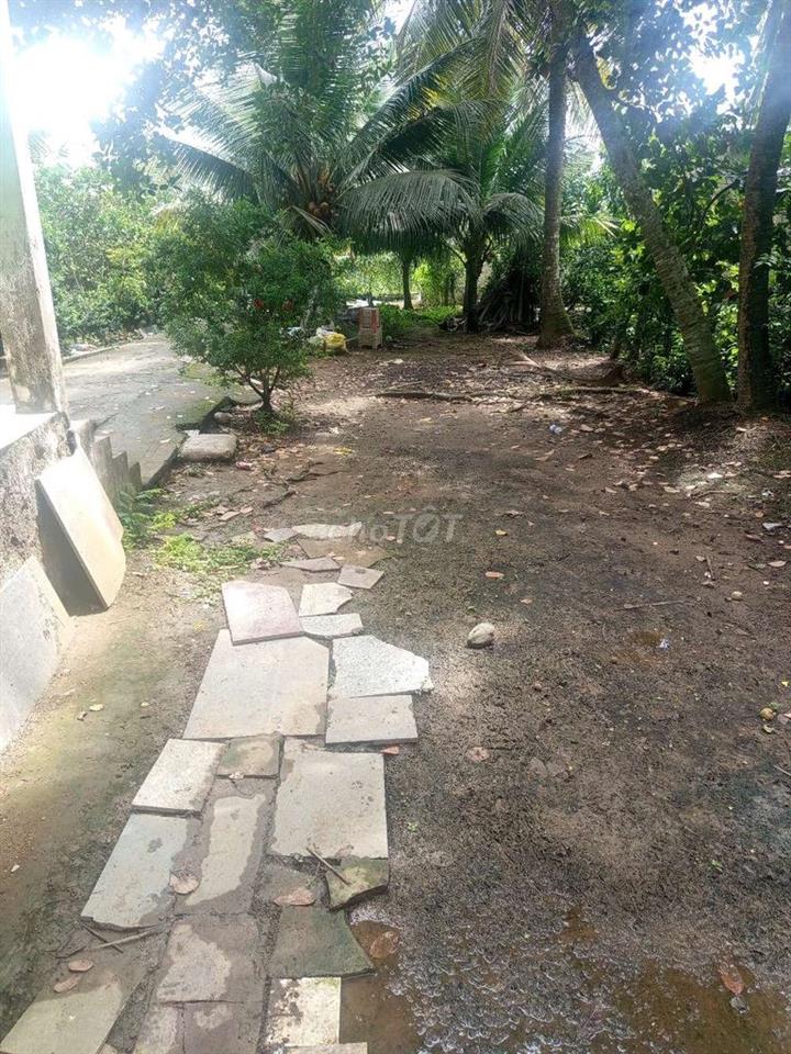 Đất nhà cắt ra Ngang 5 dài 30(Miễn tiếp Quảng cáo)